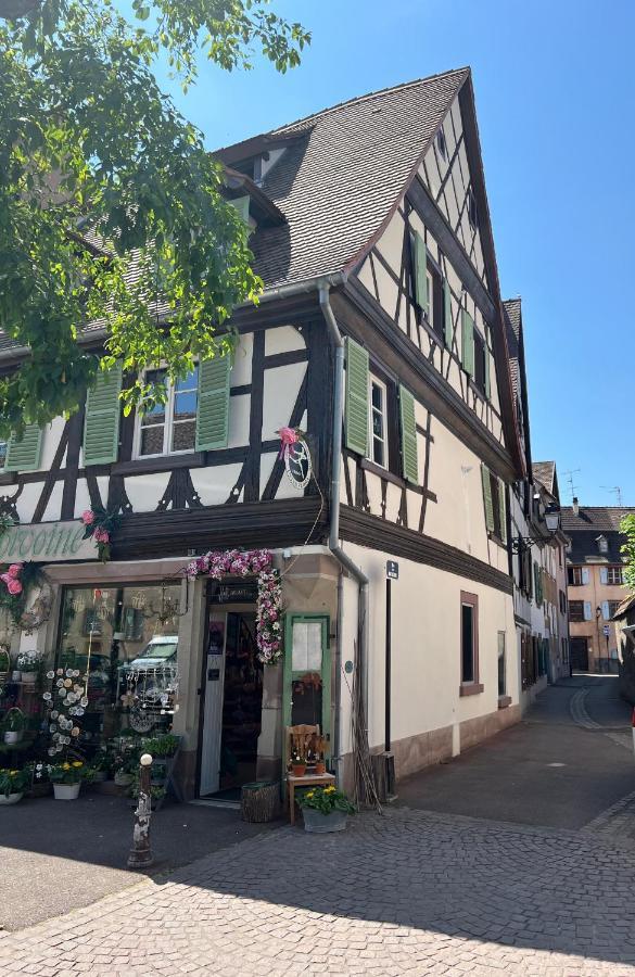La Maison Du Batelier - Quartier Historique Petite Venise Колмар Екстериор снимка